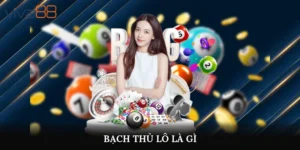 Bạch thủ lô là gì