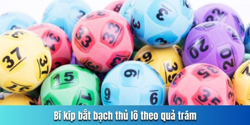Bí kíp bắt bạch thủ lô theo quả trám