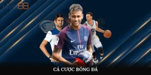 cá cược Bóng Đá