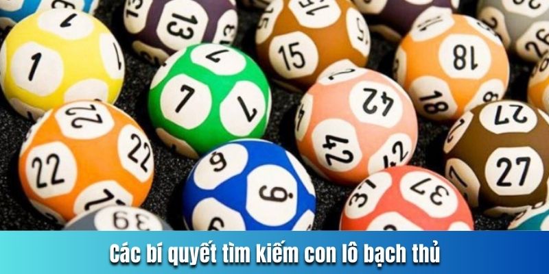 Các bí quyết tìm kiếm con lô bạch thủ