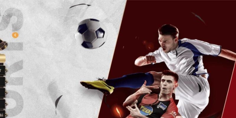 Các môn cá cược thể thao dễ ăn kèo