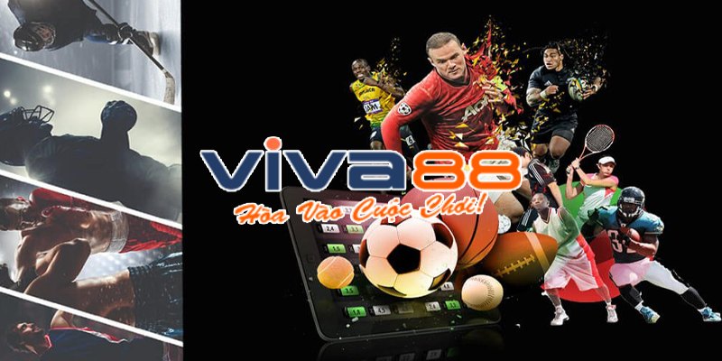 Lý do nên tạo lập tài khoản tại Viva88 net