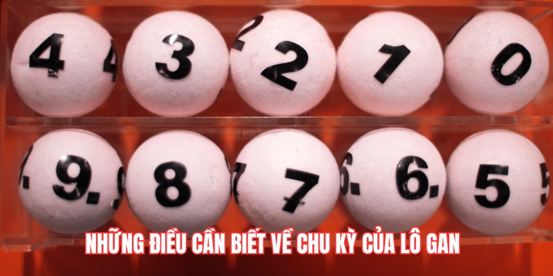 Những điều cần biết về chu kỳ của lô gan