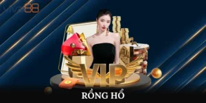 Rồng Hổ