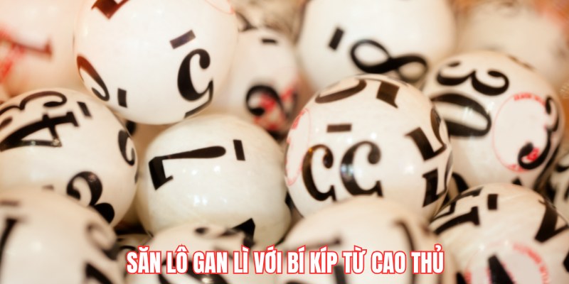Săn lô gan lì với bí kíp từ cao thủ