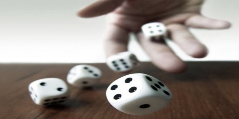 Tập trung vào một lựa chọn duy nhất