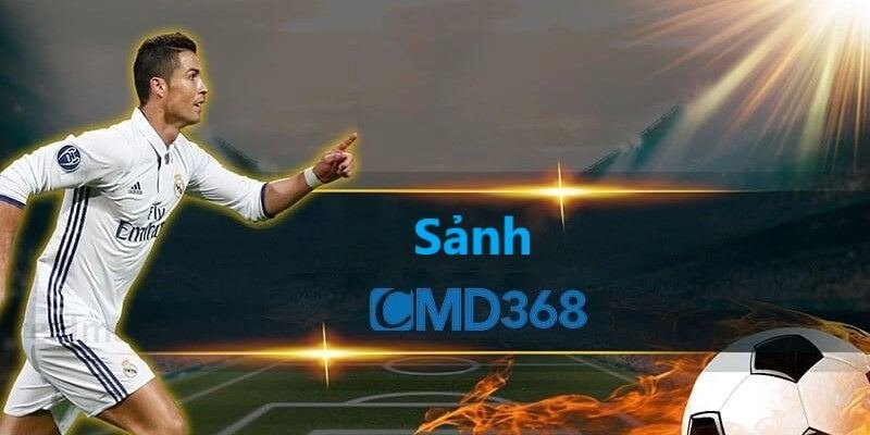 Thông tin khái quát về CMD368